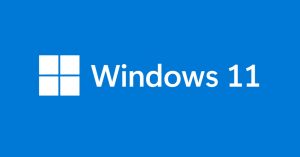 Copia de seguridad Windows 11