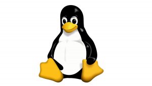 Copia de seguridad de Linux
